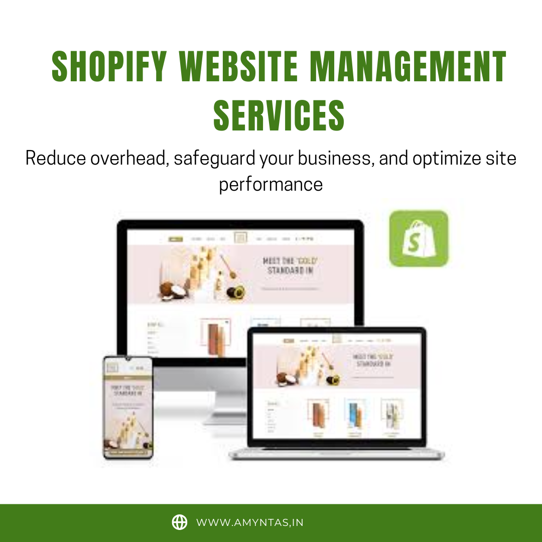 Shopify website Management services